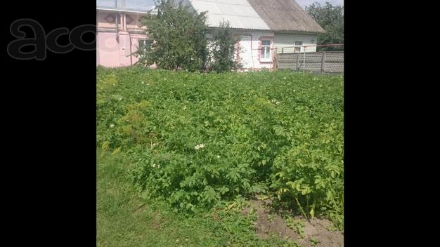 Продаю дом с участком